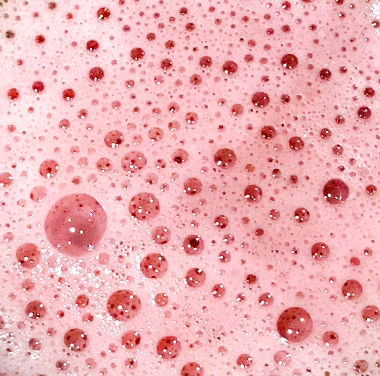 Dragon Fruit and Kakadu Plum Powder to Foam Exfoliating Cleanser